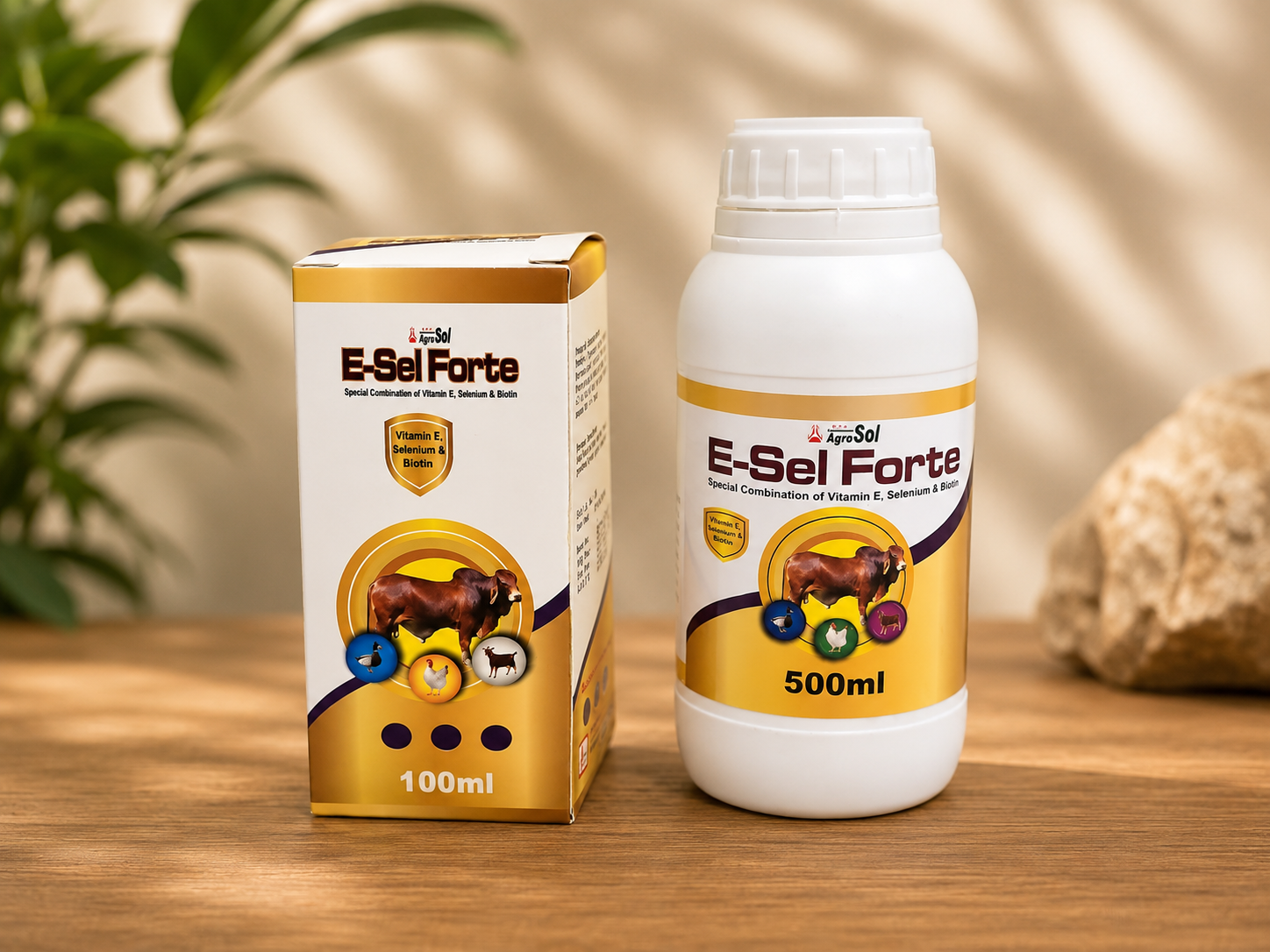 E-Sel Forte (ই-সেল ফোর্ট)