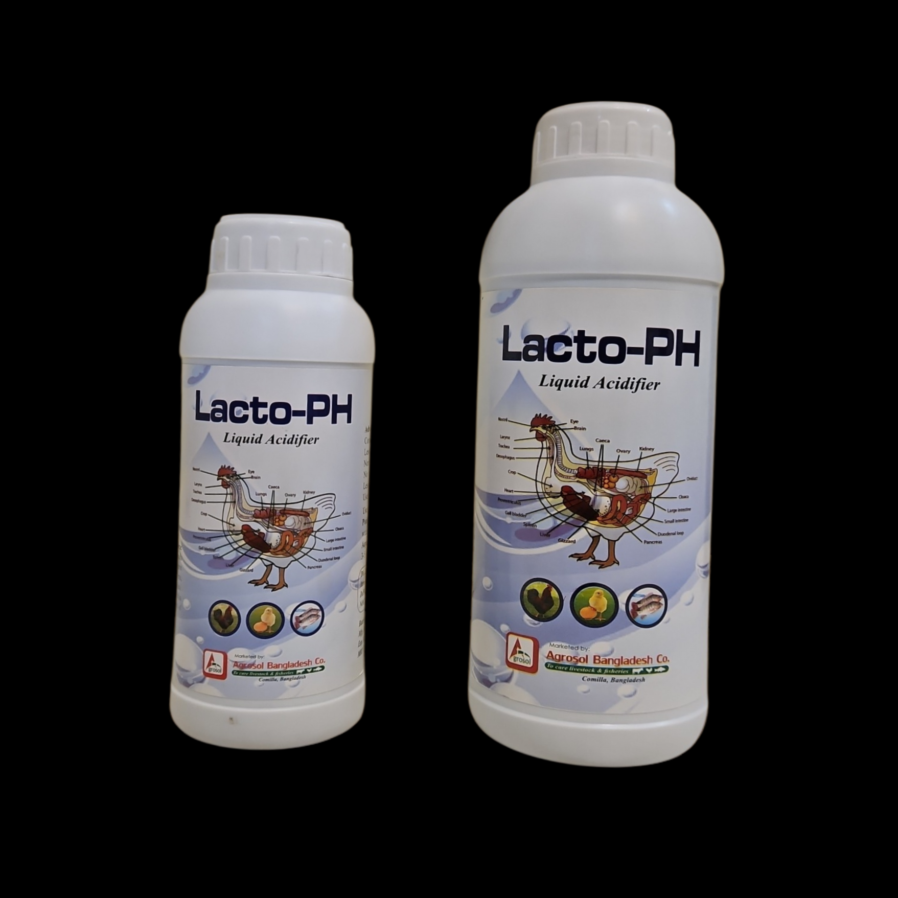 Photoroom-20260202_122648448 (2)