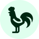 COCK